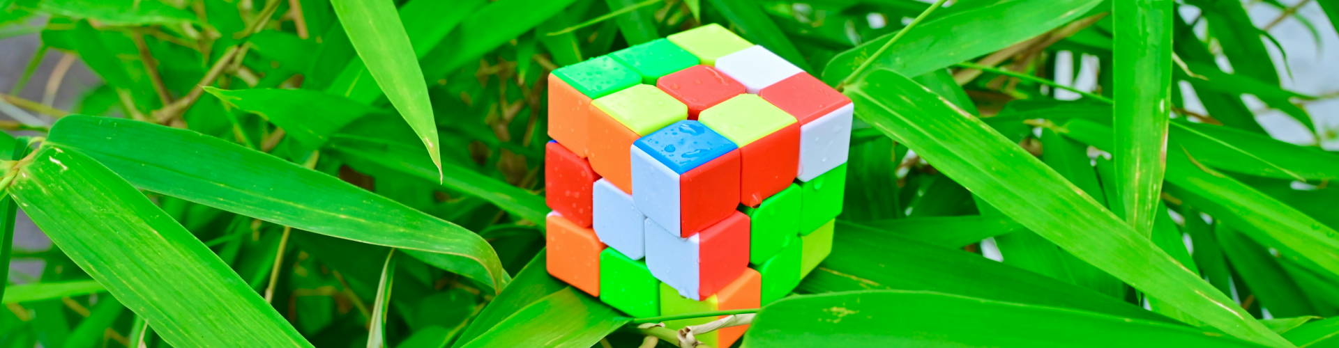 Webinar : ¿Cómo coordinar la colaboración en proyectos intermodulares?  (8 de mayo de 2025)